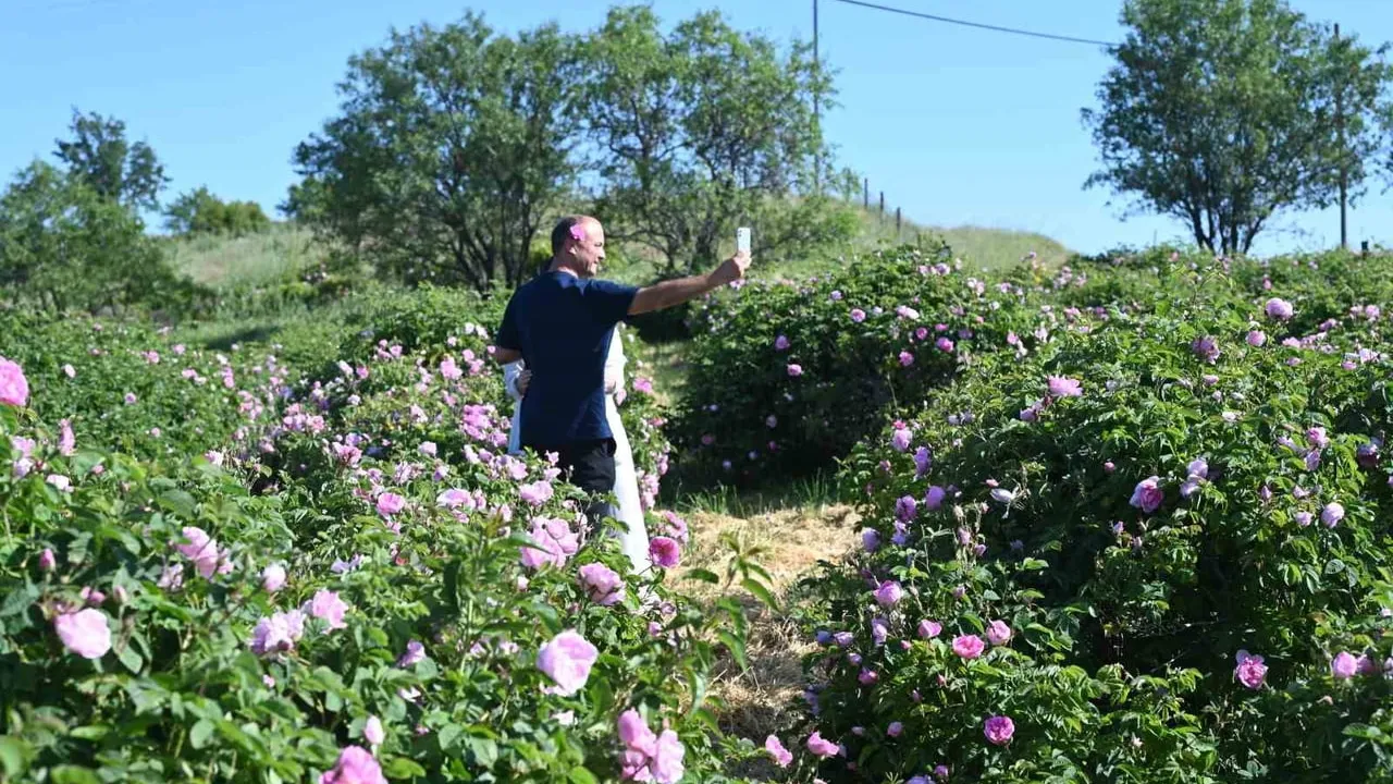 Isparta Uluslararası Gül Festivali ikinci gününde Eğirdir manzarası eşliğinde gül hasadı ve bisiklet yarışıyla sürdü