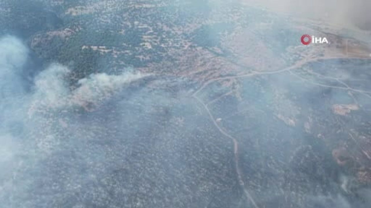 İzmir’de makilik alandaki yangın büyük ölçüde kontrol altına alındı