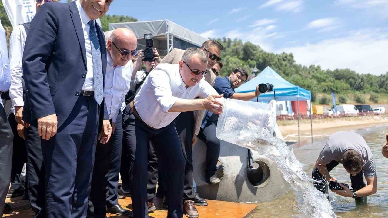 İzmit Körfezi'ne 100 yapay resif ve 6 bin yavru balık bırakıldı