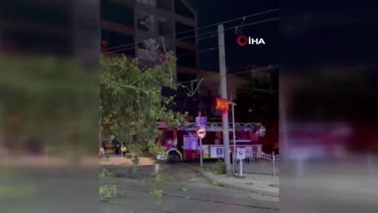 İzmit'te çınar dalının tramvay hattına düşmesi seferleri aksattı