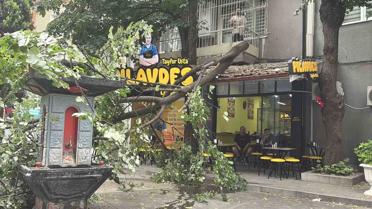 İzmit'te zayıflayan ağacın dalları lokantanın çatısına devrildi; çatıda hasar oluştu