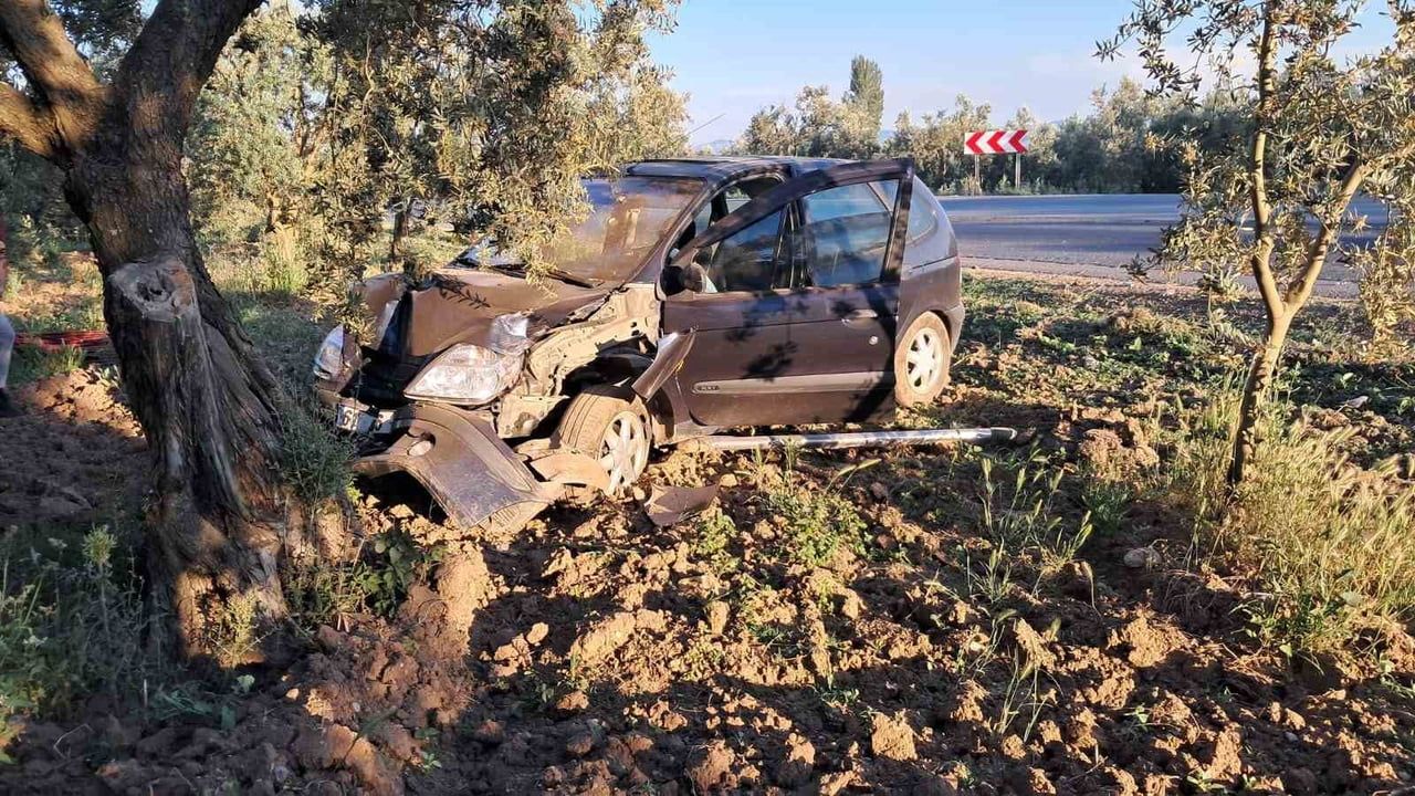 İznik'te otomobil zeytin ağacına çarptı; sürücü hava yastıkları sayesinde yara almadan kurtuldu