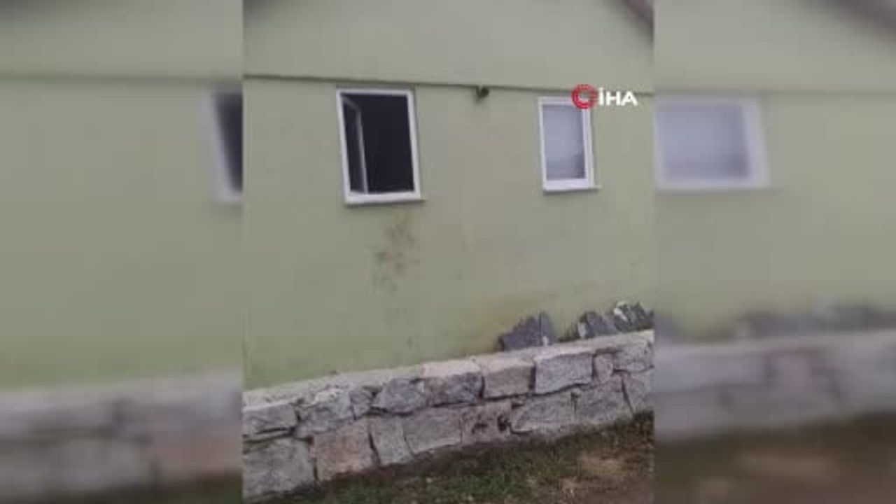 Kaçkar Koçdüzü yaylasında ayı yaklaşık 20 eve girerek zarara yol açtı