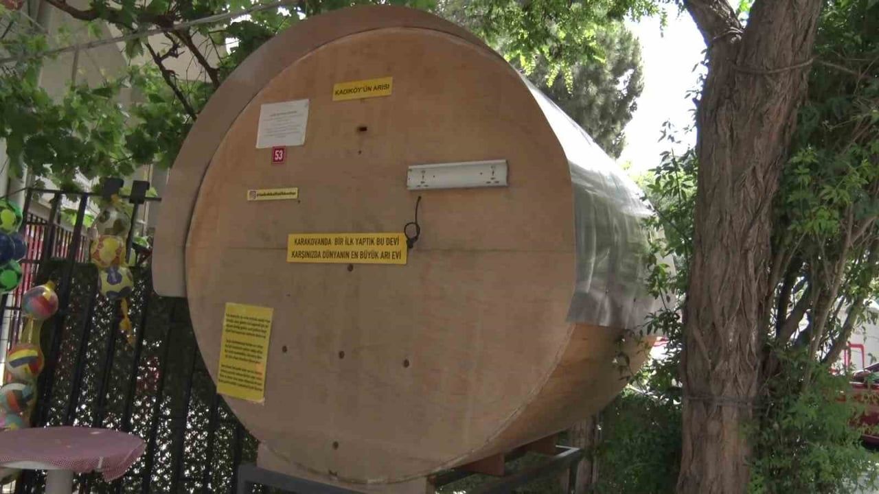 Kadıköy'de 'Laz Bakkal' Fatih Bostan, dükkanı önünde büyük yuvarlak bal kovanı kurdu
