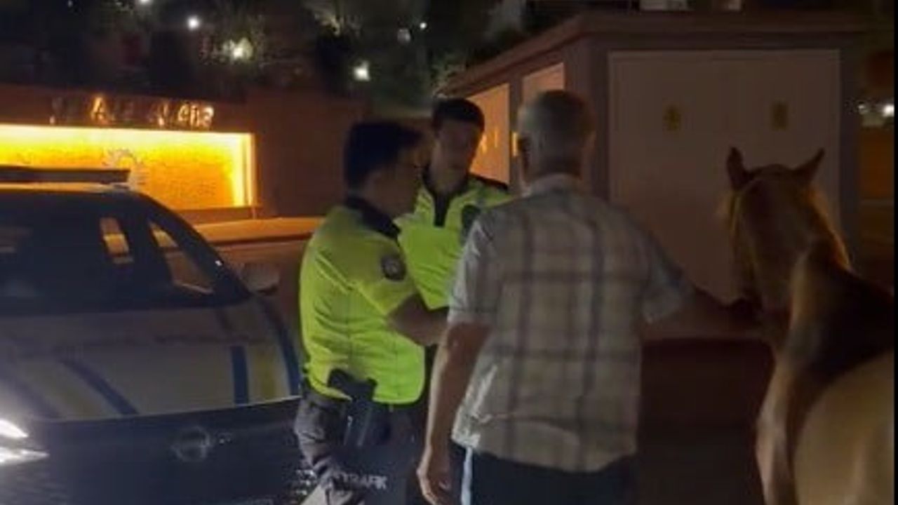 Kahramanmaraş'ta kaçan iki at trafik polisleri tarafından sahibine teslim edildi