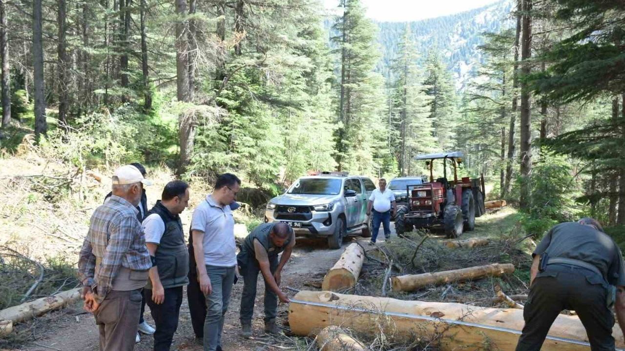 Kahramanmaraş’ta yol kenarı bakım çalışmasıyla yangın riski azaltılıyor