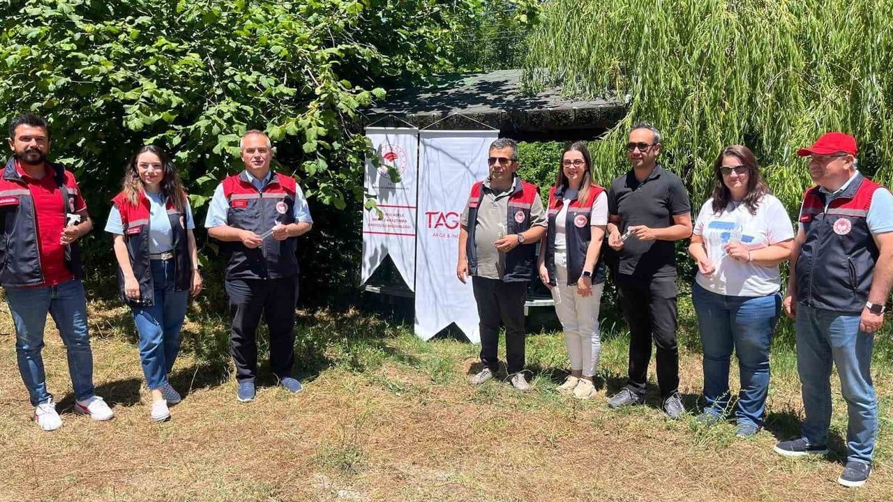 Kahverengi kokarca ile mücadelede samuray arıcıkları doğaya bırakıldı