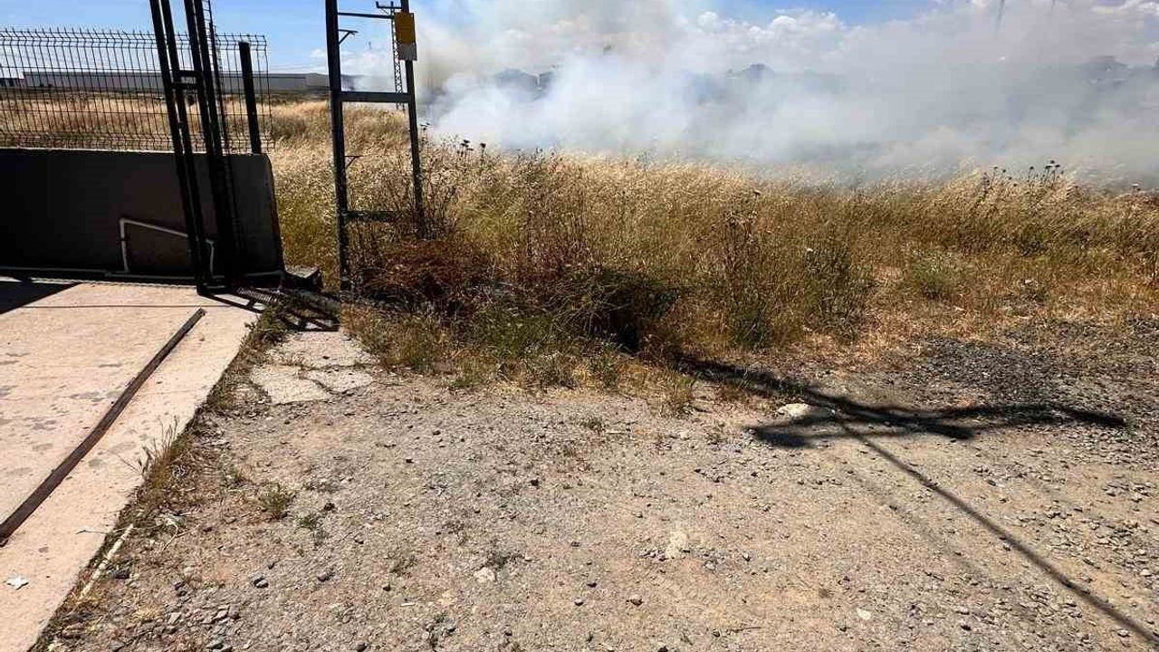 Kapaklı'da kuşun tellere çarpması otluk alanda yangına yol açtı