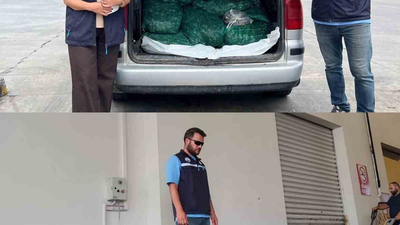 Kapıkule'de 840 kg canlı akivades ele geçirildi; şahsa yaklaşık 1 milyon TL ceza