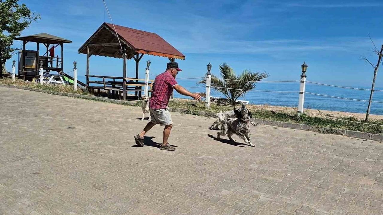 Kapısuyu'da 'dronsavar' köpekler dronları izleyip etkisiz hale getiriyor