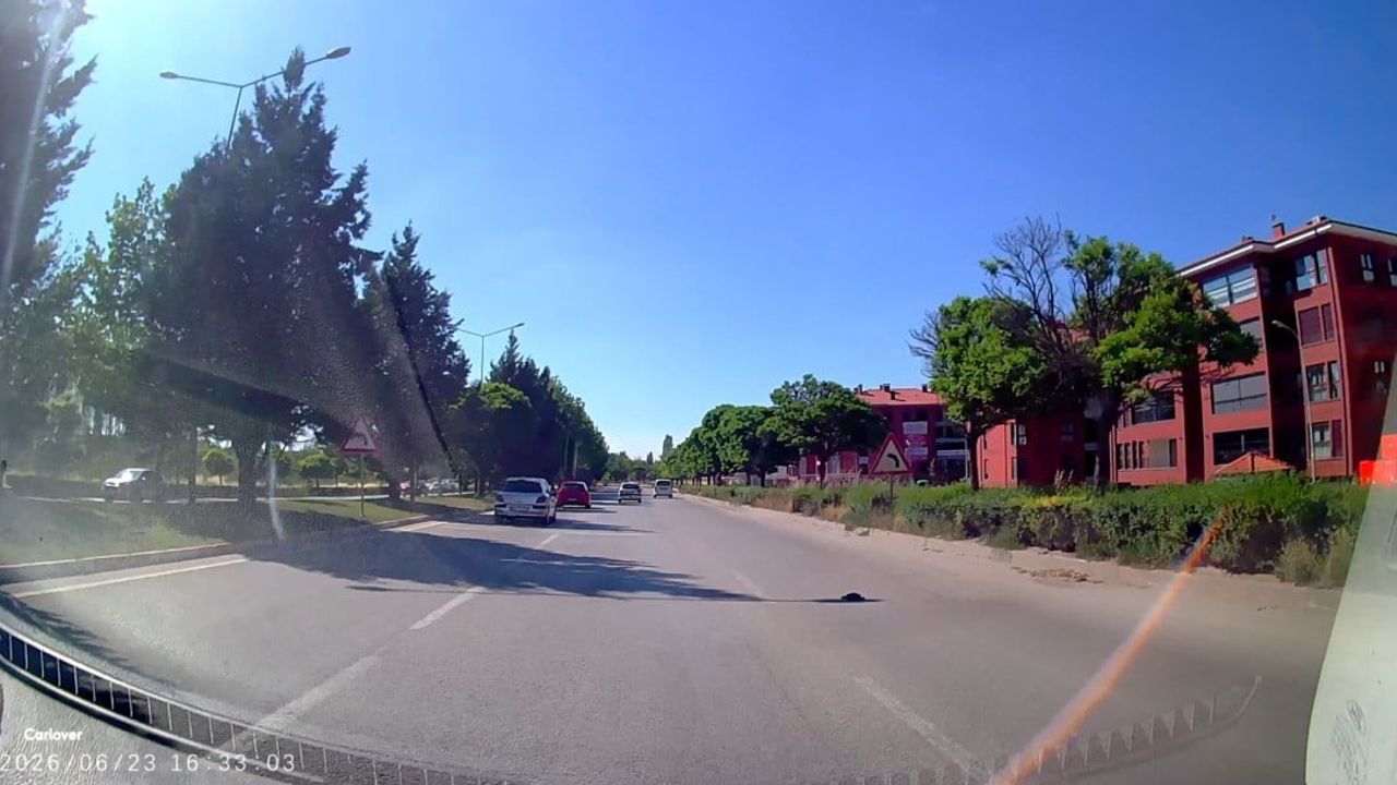 Kara yolunda mahsur kalan kaplumbağasına yardım eli