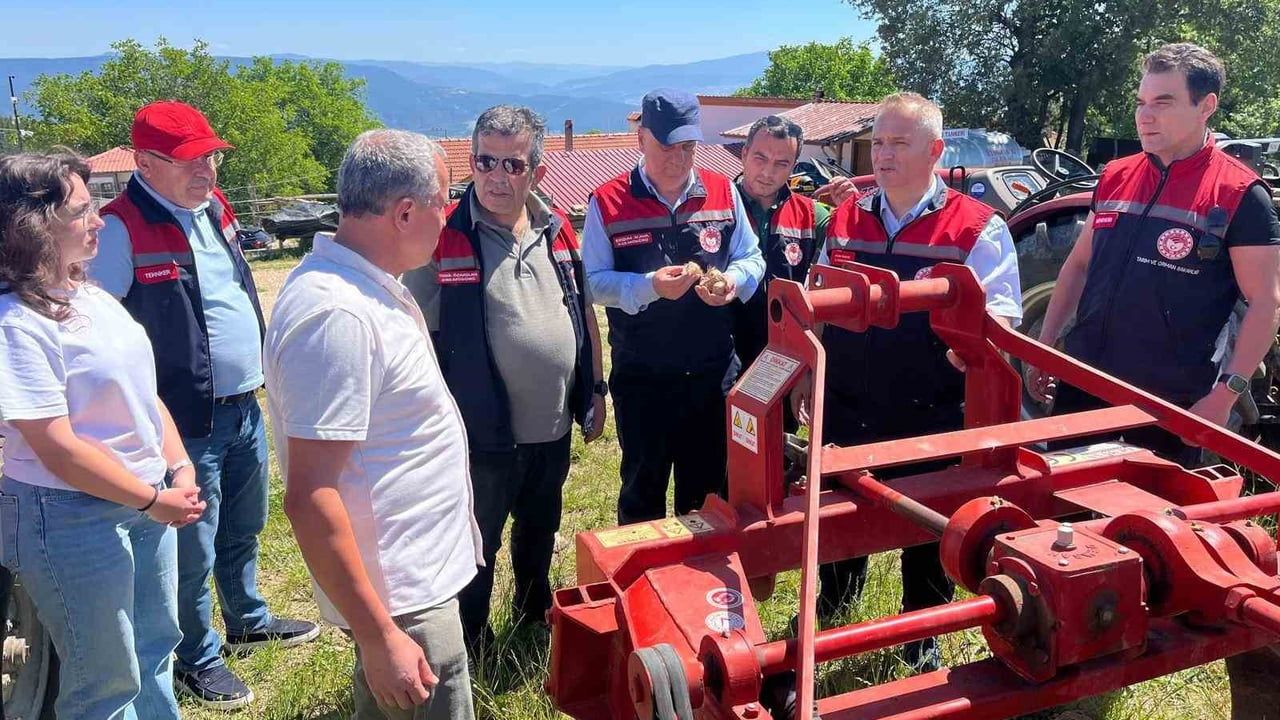 Karabük'te safran üretim alanlarında teknik inceleme