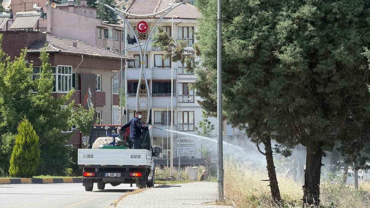 Karabük'te sinek ve haşereyle mücadele yoğunlaşıyor
