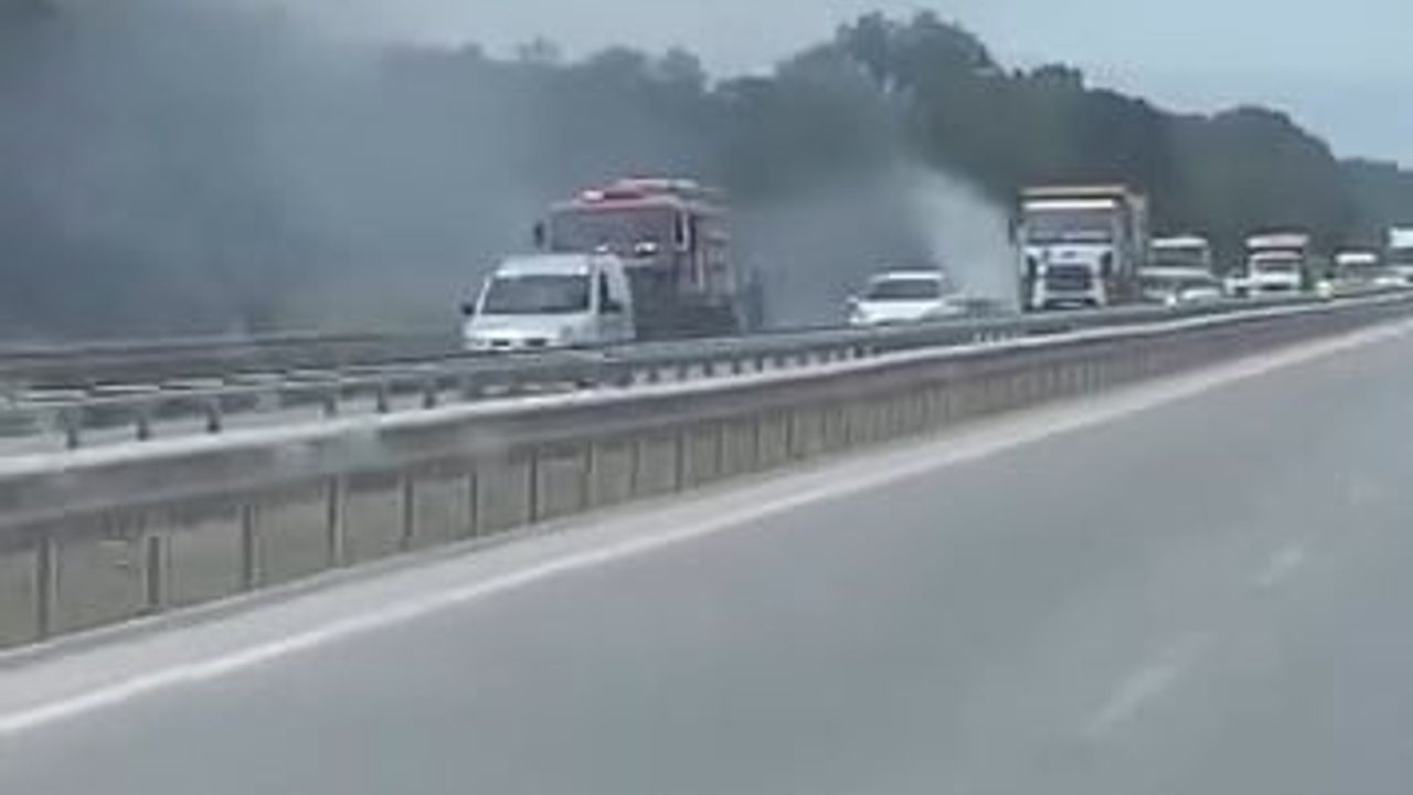 Karacabey'de İzmir-Bursa Karayolu TİGEM Bölgesinde Kuru Ot Yangını Kontrol Altına Alındı