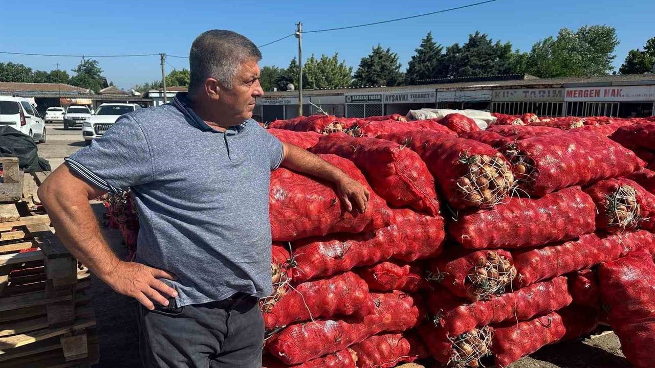 Karacabey'de kuru soğan tarlada kilogram fiyatı 10-12 liraya ulaştı