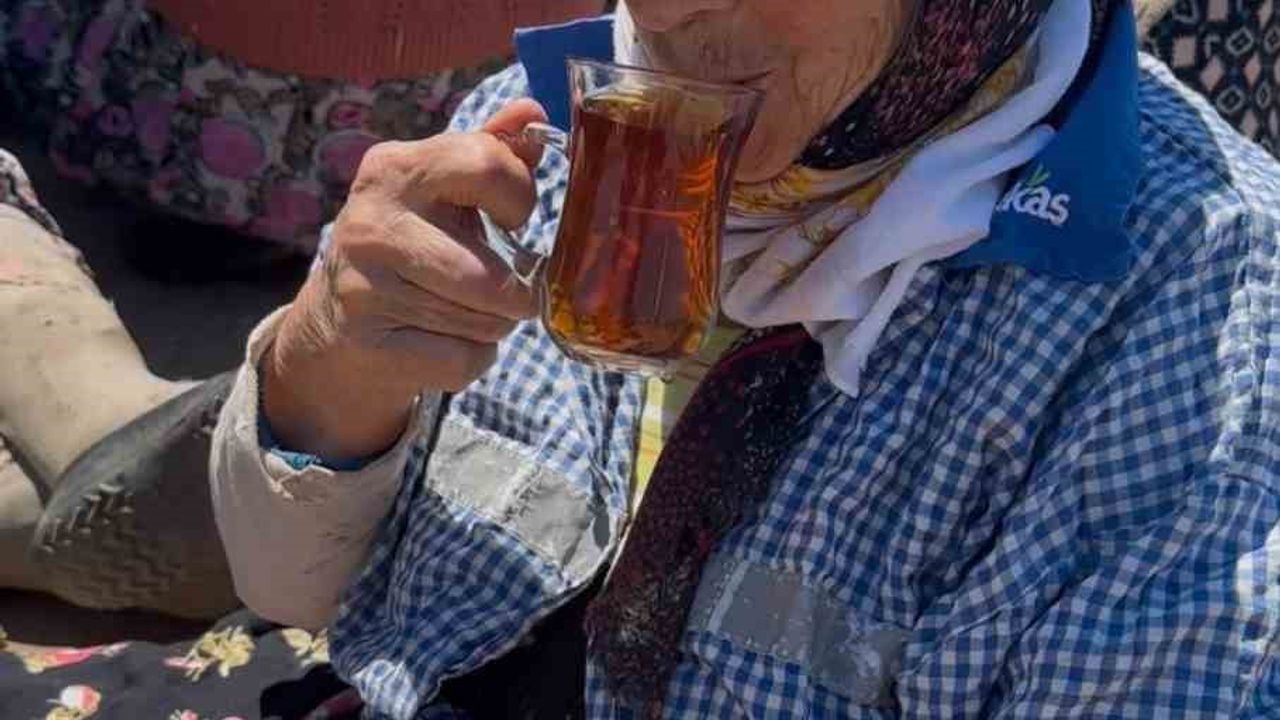Karacabey'de tarım işçileri öğle molasında odun ateşinde demlenen matara çayıyla dinleniyor
