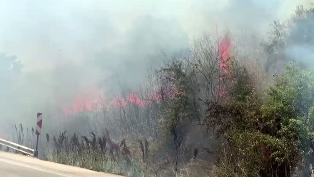 Karacabey yolu Başköy istikametinde otluk alanda yangın çıktı