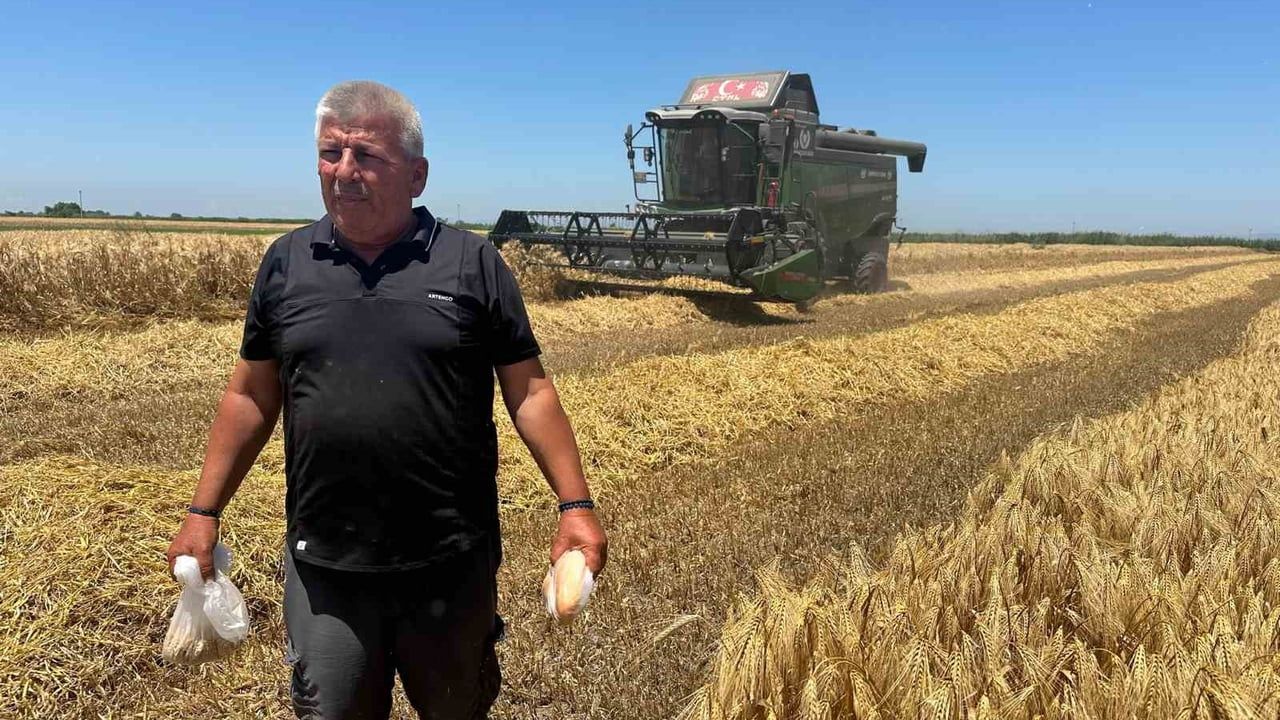 Karacabeyli çiftçiler: 20 liralık ekmekte buğday ve un maliyeti sadece 5 lira