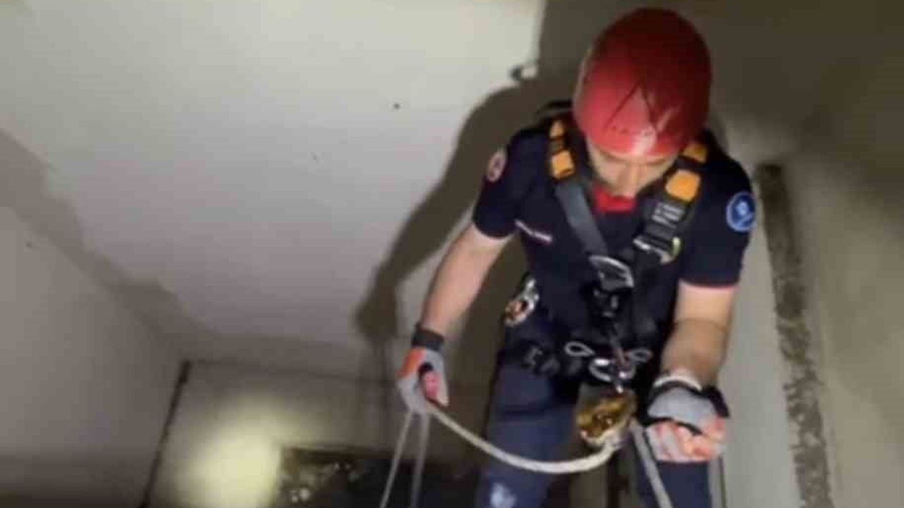 Karamürsel'de apartman boşluğuna düşen yavru martı kurtarıldı