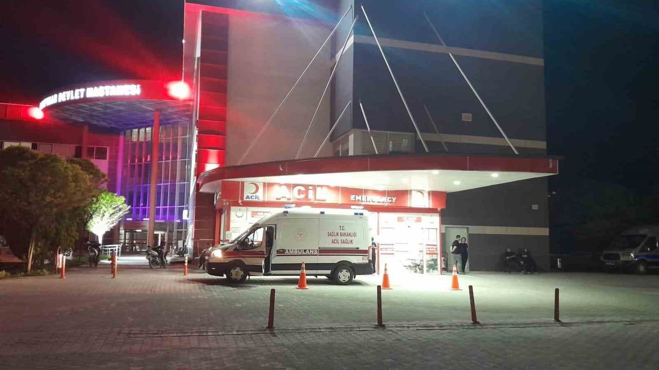 Karapınar'da yola çıkan köpeğe çarpan otomobil: 4 kişi yaralandı
