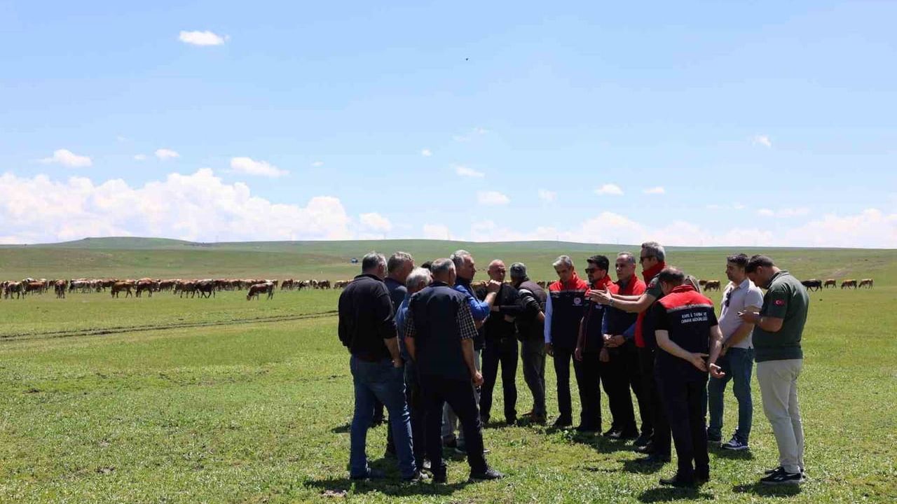 Kars'ta hayvancılığın geleceği konuşuldu: Bakanlık heyeti Boğatepe ve Akçakale'de inceleme yaptı