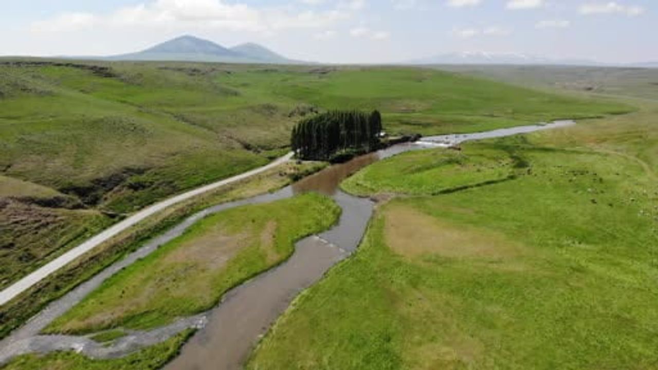 Kars’ta tatlı su kefallerinin ölümüne göçü başladı