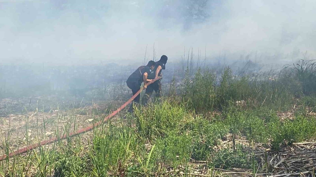 Kartepe'de SEKA Kampı yakınındaki sazlık yangını yaklaşık 10 dönüm alanı tahrip etti
