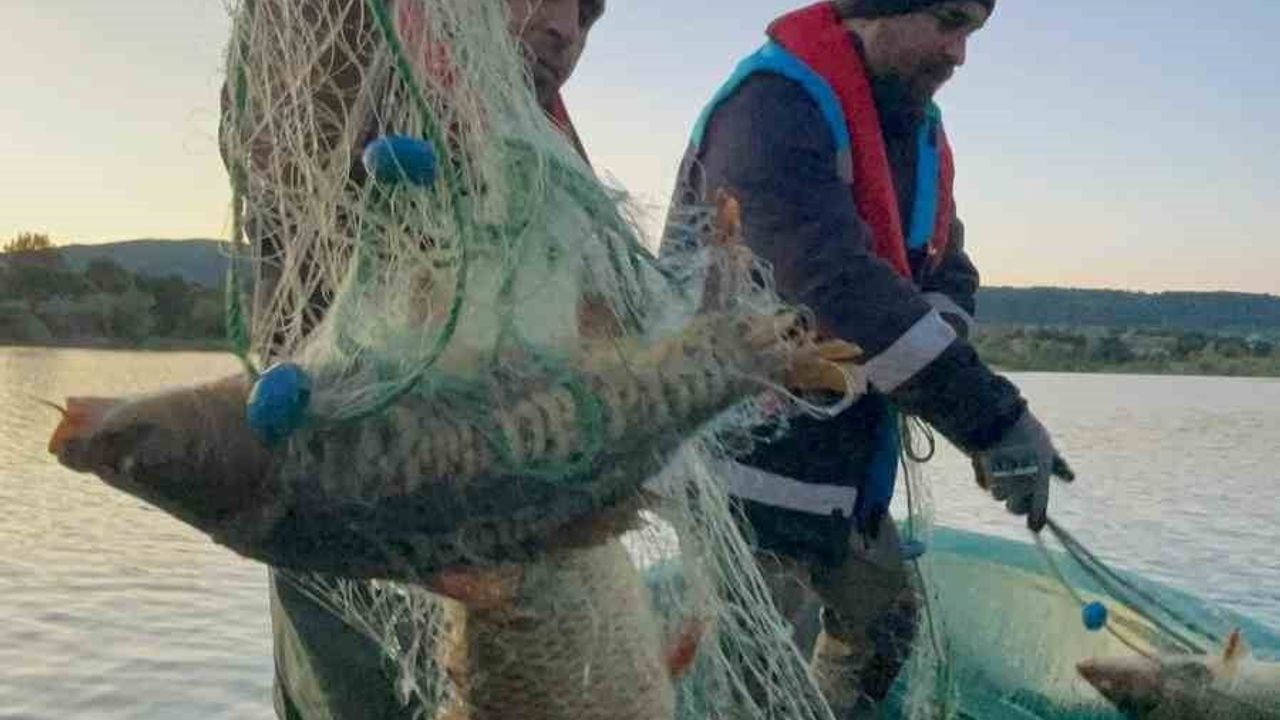 Kastamonu'da Beyler Barajı'nda 3 hayalet ağ ele geçirildi, yaklaşık 200 kg sazan kurtarıldı