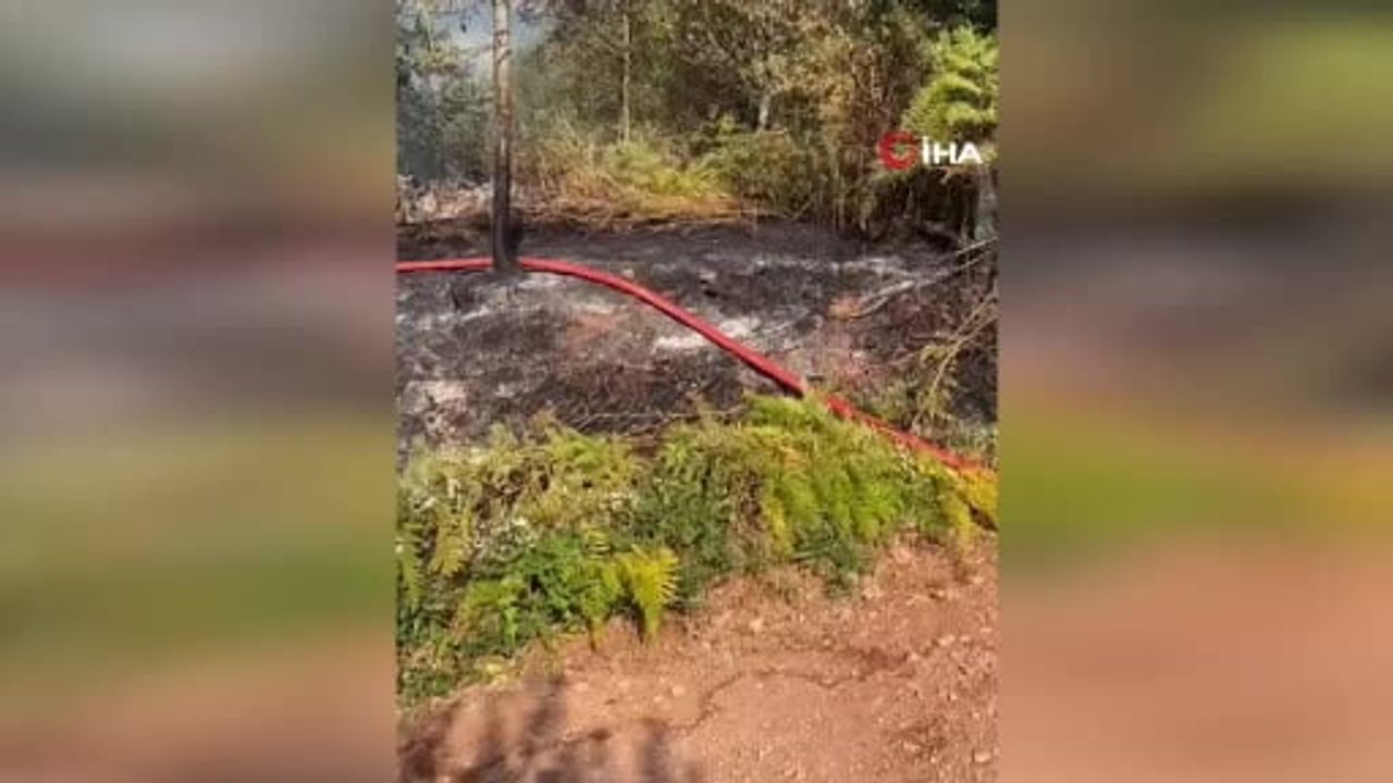 Kastamonu'da kardeşini ahıra kilitleyip ateşe verdiği iddia edilen sanığa 15 yıl 10 ay hapis