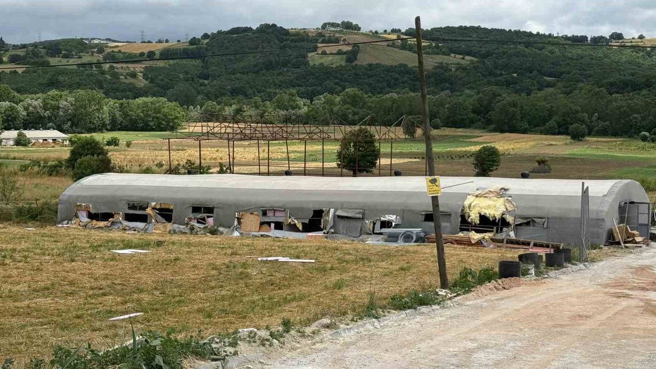 Kaynarca'da küçükbaş çiftliğinde yangın: 5 kuzu telef oldu, bin balya küle döndü