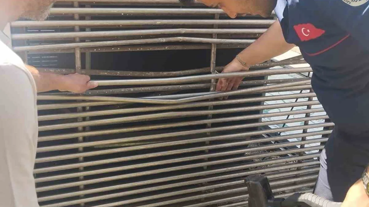 Kayseri'de havalandırma boşluğuna sıkışan kedi kurtarıldı