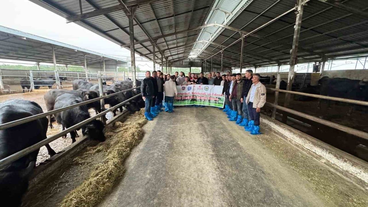 Kayseri'de manda yetiştiriciliği markalaşma ve üretimle güçlendiriliyor