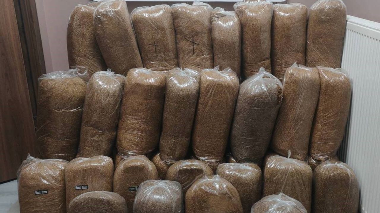 Kayseri'de yolcu otobüsünde 510 kilo kaçak tütün ele geçirildi