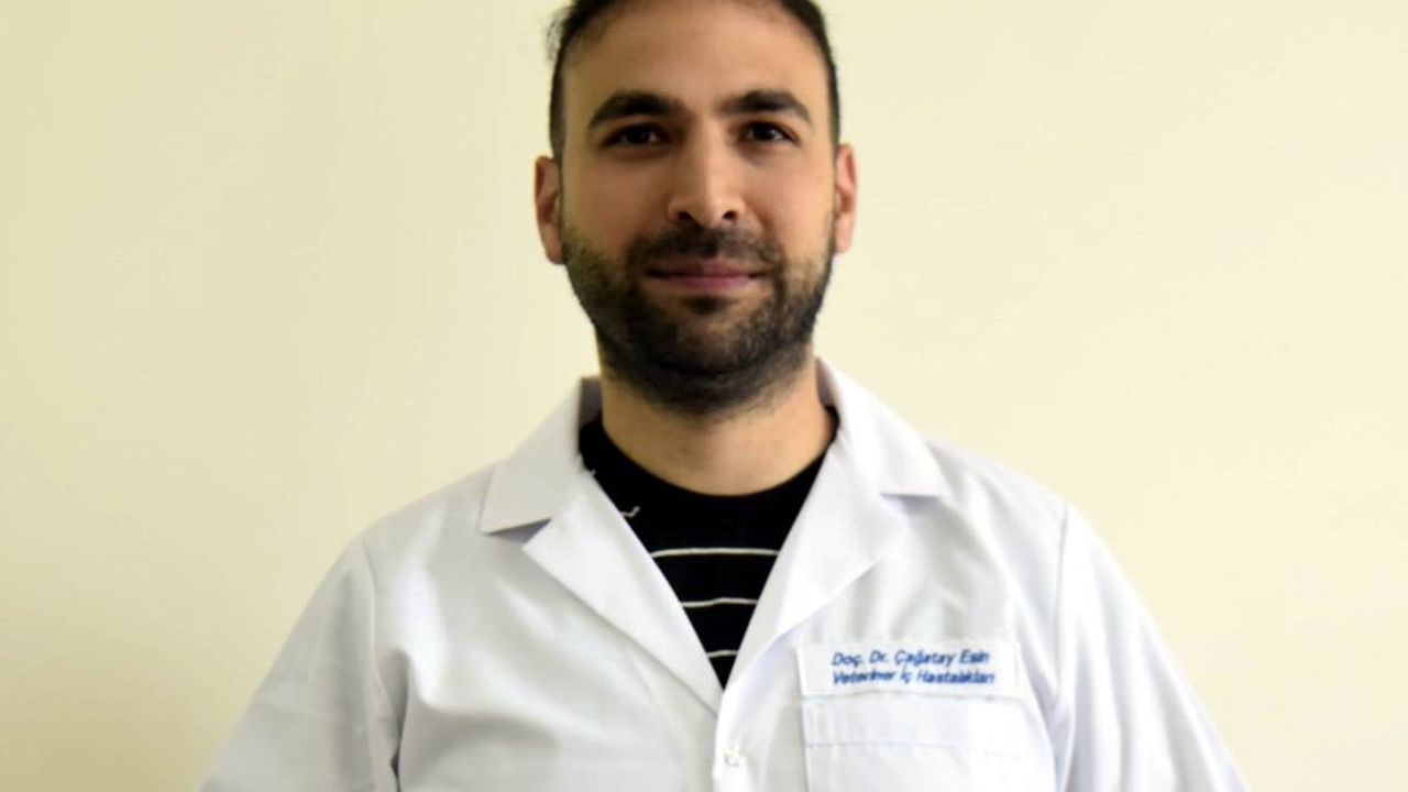 Kedilerde ölümcül kabul edilen FIP’te antiviral tedaviler umut veriyor