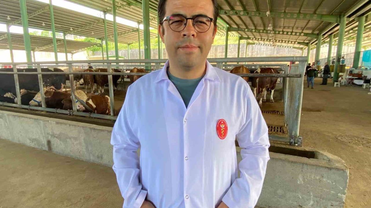 Kene Uyarısı: 200’den Fazla Hastalık Etkeni Taşıyabilir