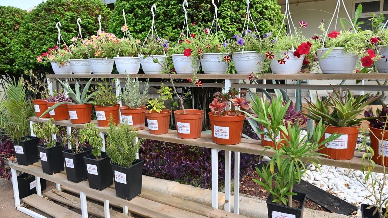 Kepez bahçe market Dokumapark'ta açılıyor