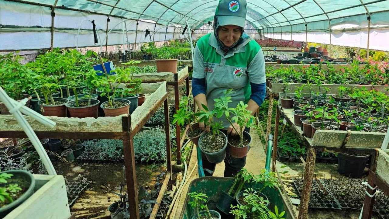 Kepez’in yeşil geleceğini şekillendiren bitki ve fidan üretim tesisi