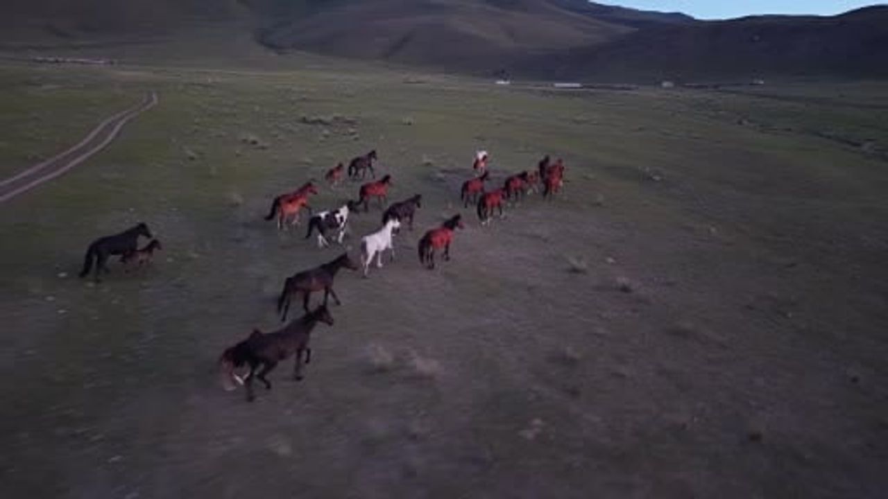 Kırgızistan bozkırlarında gün batımında kartpostallık görüntüler