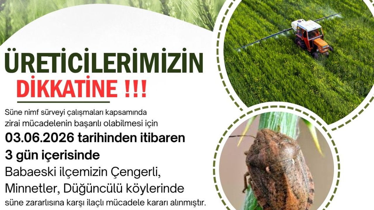 Kırklareli'de Babaeski köylerinde süne nimflerine karşı üç günlük ilaçlama uygulanacak