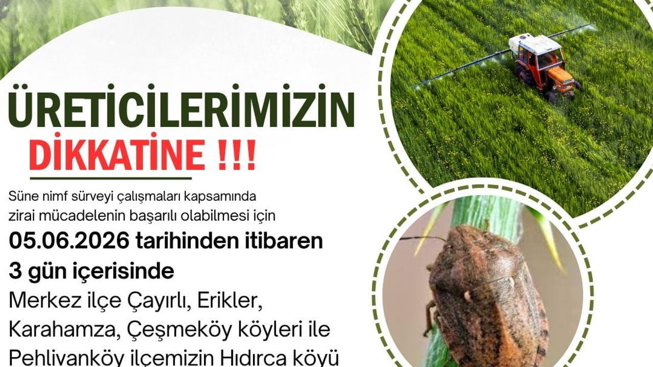 Kırklareli'de süne zararlısına karşı belirli bölgelerde ilaçlı mücadele başlatılacak
