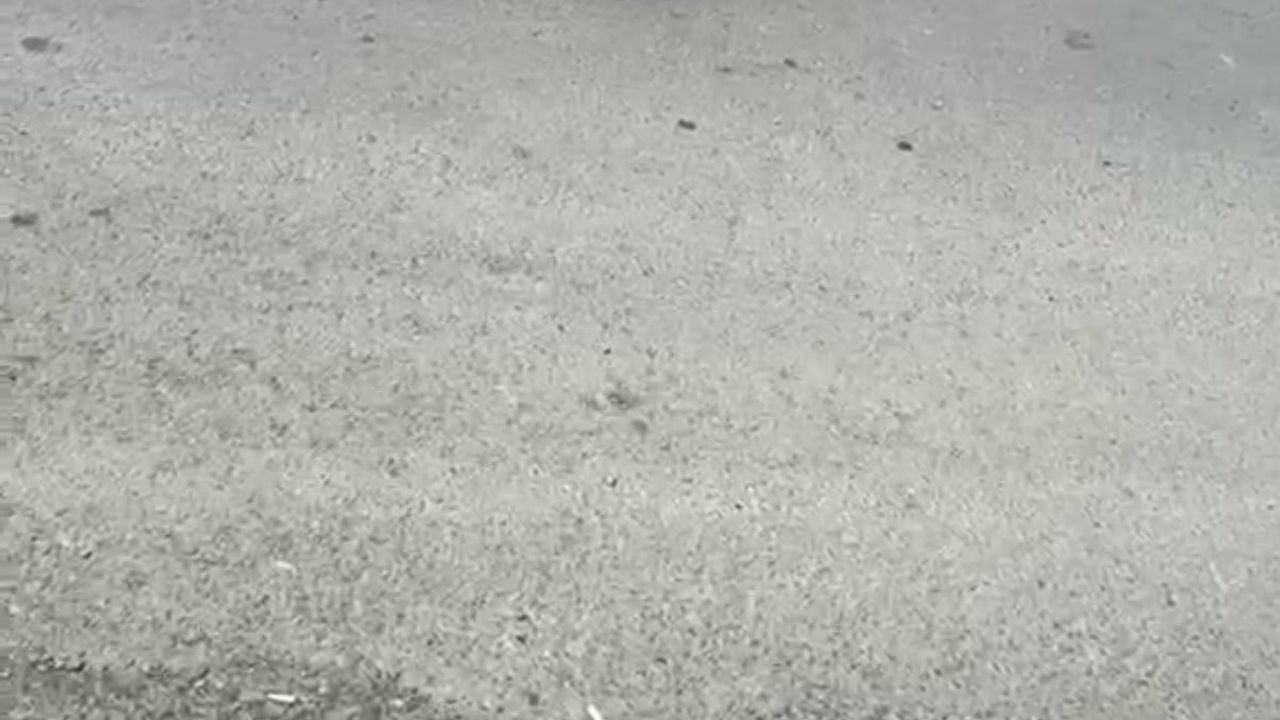 Kocaeli'de Gebze adliye önünde silahlı saldırıda bir kişi yaralandı