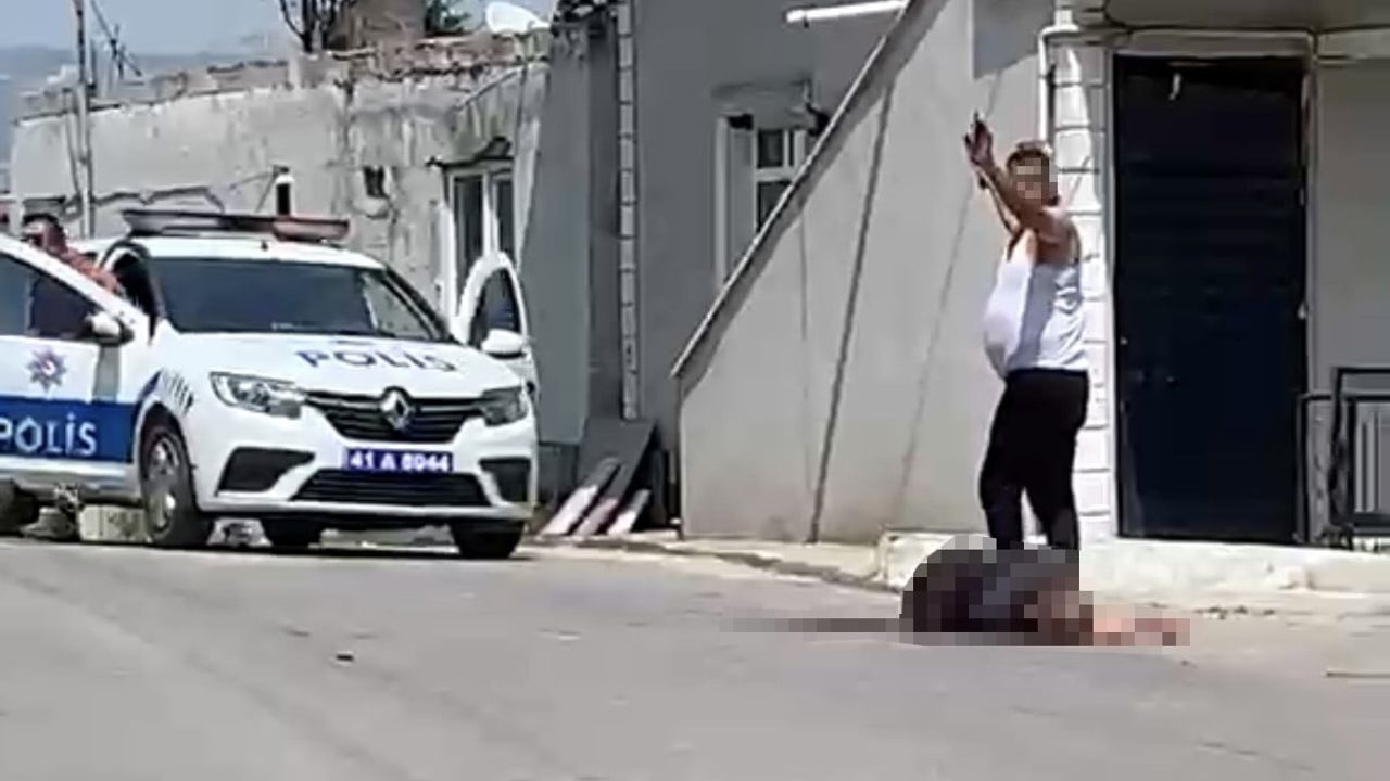 Kocaeli Dilovası'nda sokak ortasında bıçaklanan kadın yaşamını yitirdi