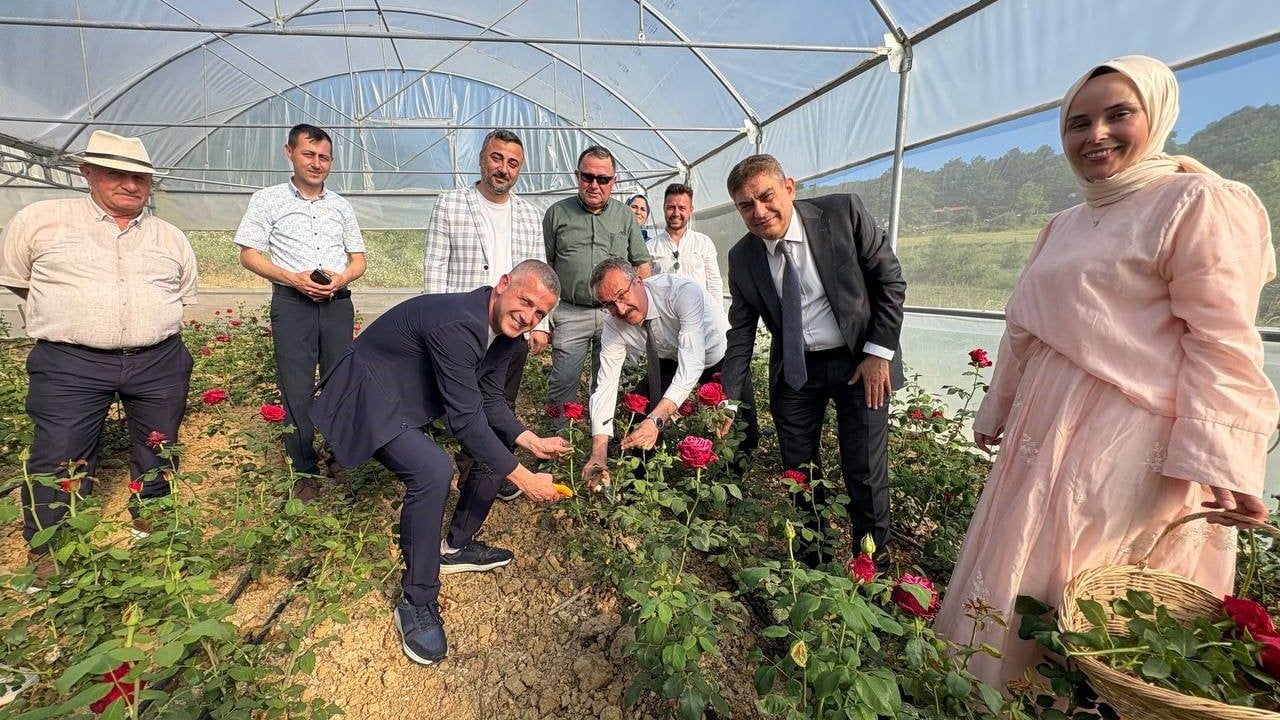 Kocaeli'nin ilk modern gül serasını kadın girişimci kurdu