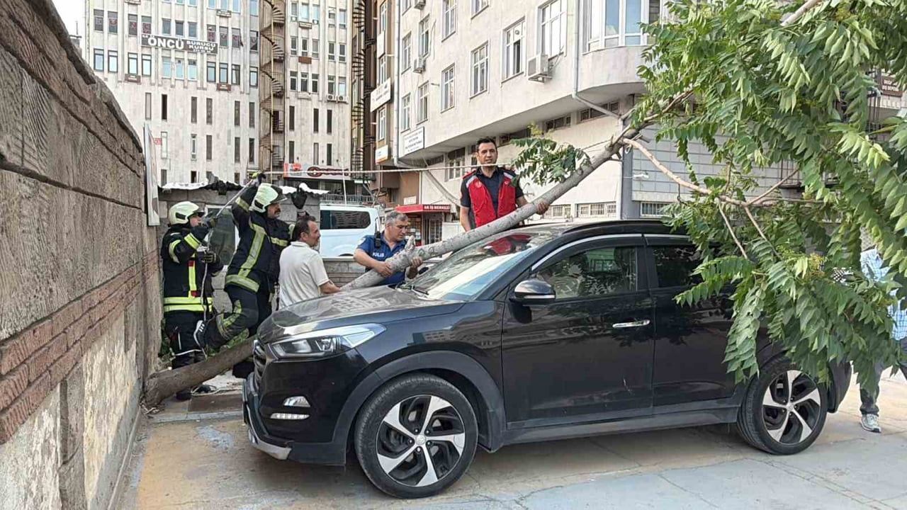 Kökü duvarın altında olan ağaç aracın üzerine devrildi