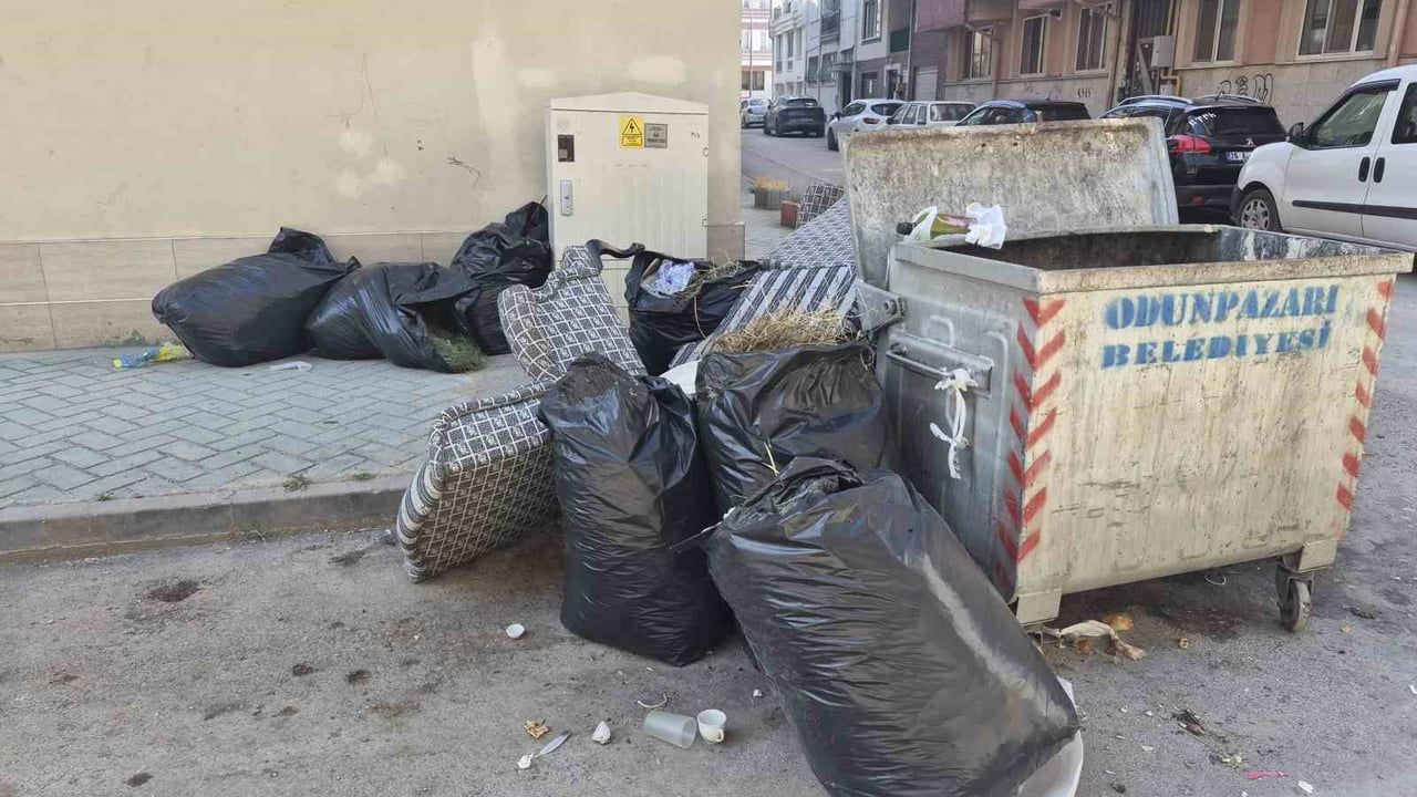 Konteynere sığmayan eşyalar Eskişehir'de çevre kirliliğine yol açıyor