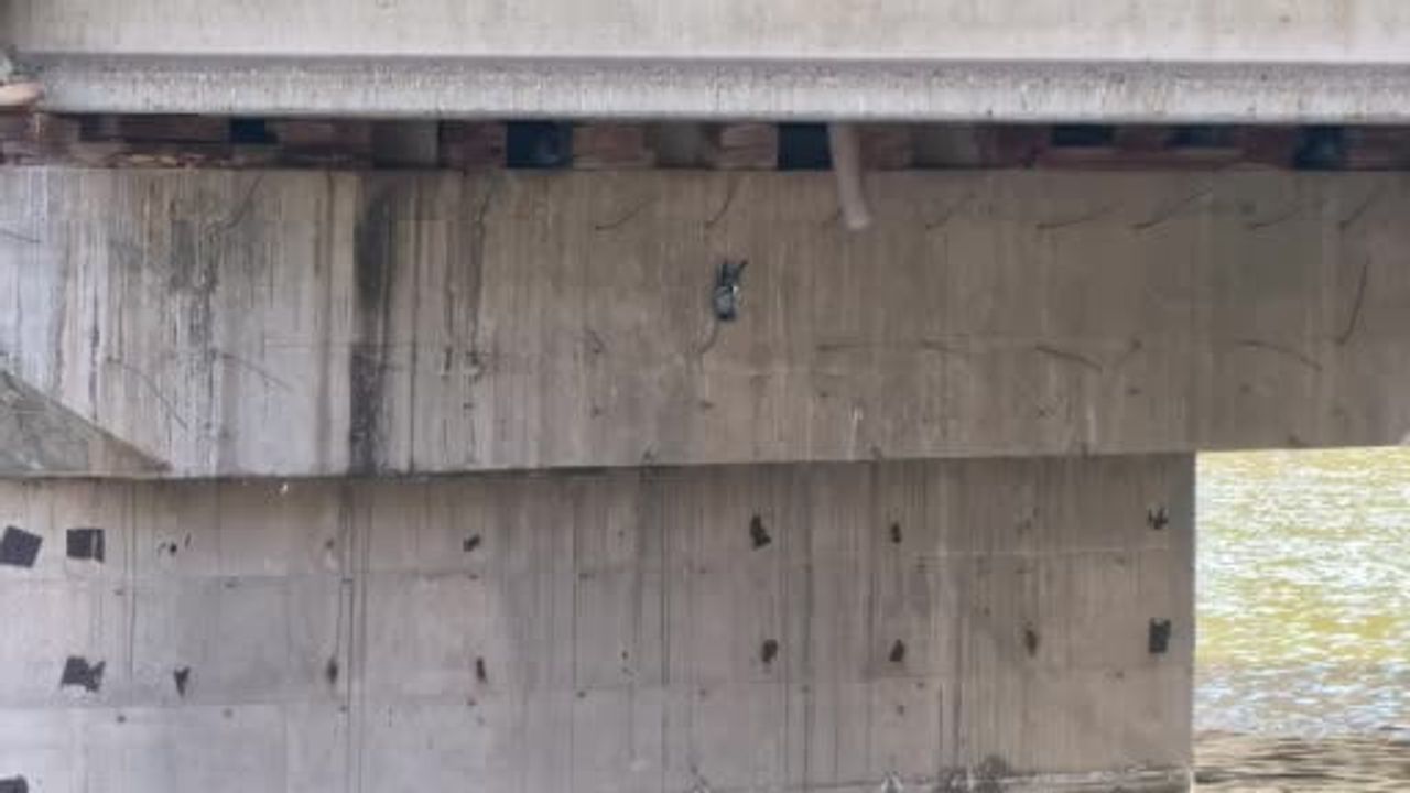Köprü altında ipe takılan güvercin itfaiye tarafından kurtarıldı
