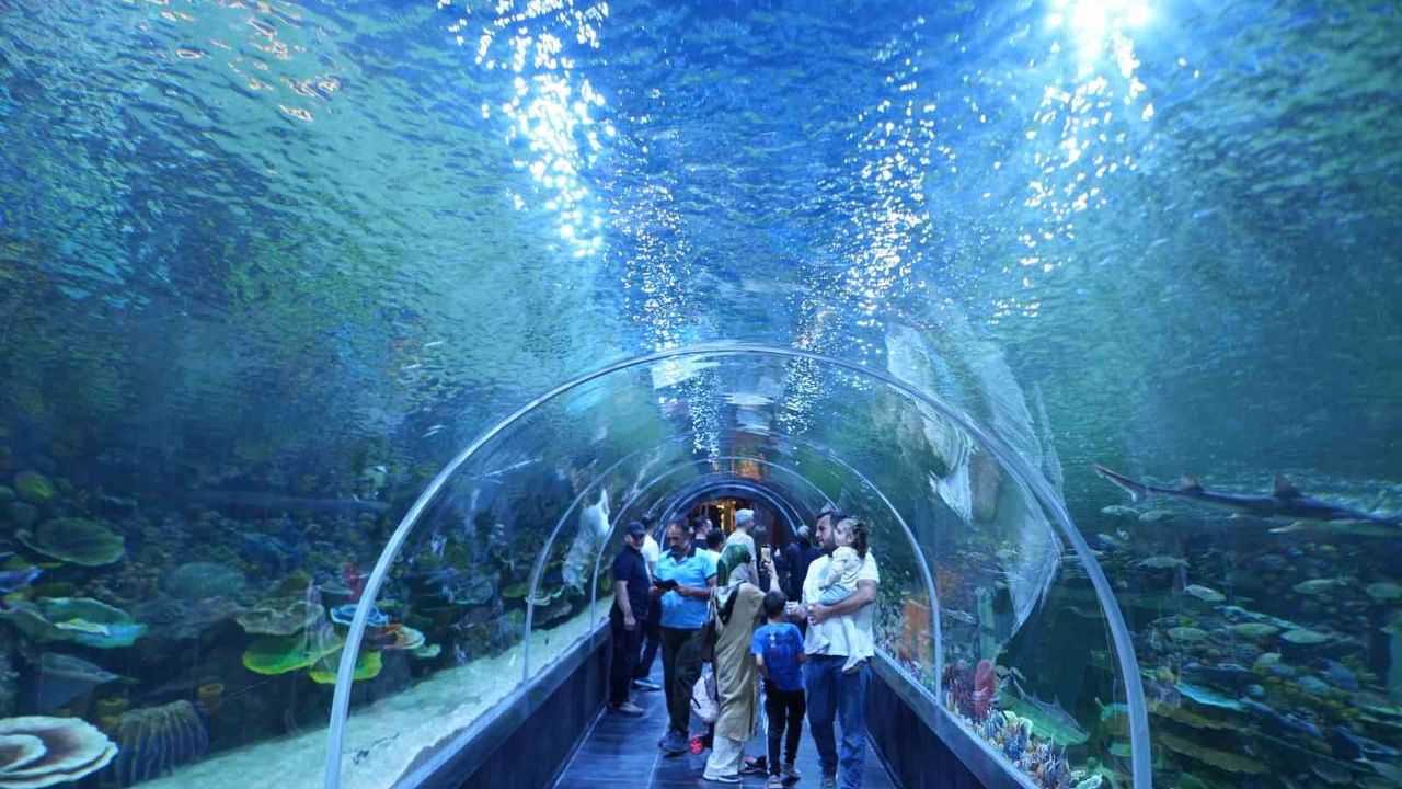 Körfez Aqua Kıtalar Akvaryumu 41 bininci ziyaretçiyi ağırladı