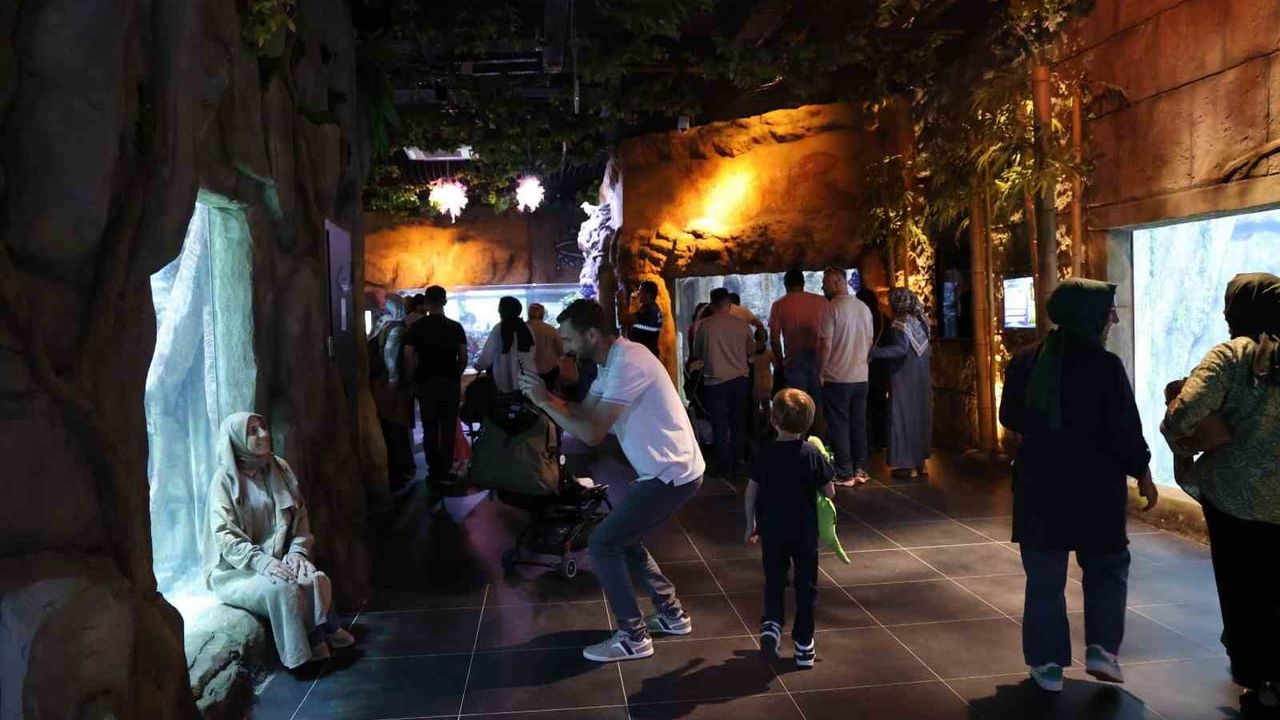 Körfez Aqua Kıtalar Akvaryumu açılışta iki saatte yaklaşık 2 bin ziyaretçi ağırladı