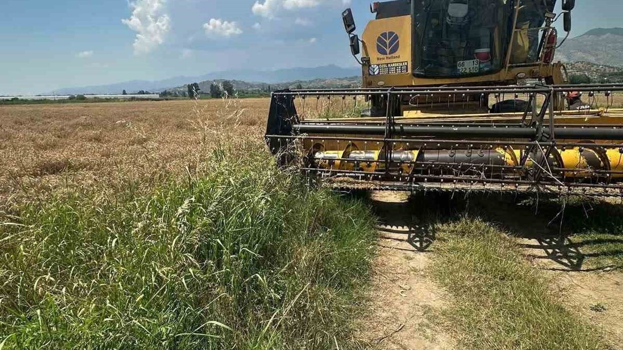 Köşk’te hububat hasadında dane kaybını önlemeye yönelik sıkı biçerdöver denetimleri