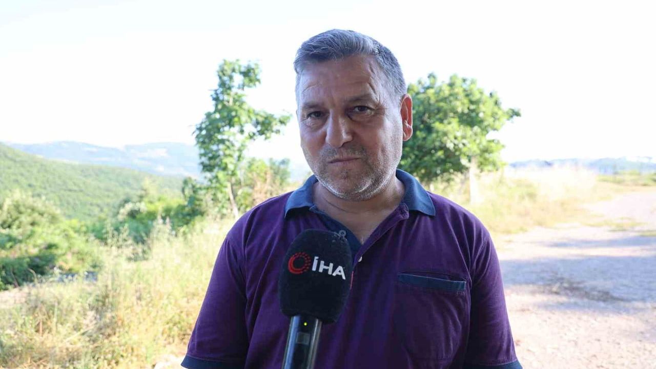 Kozan'da 2020 yangınında kül olan orman 650 bin fidanla yeniden yeşerdi